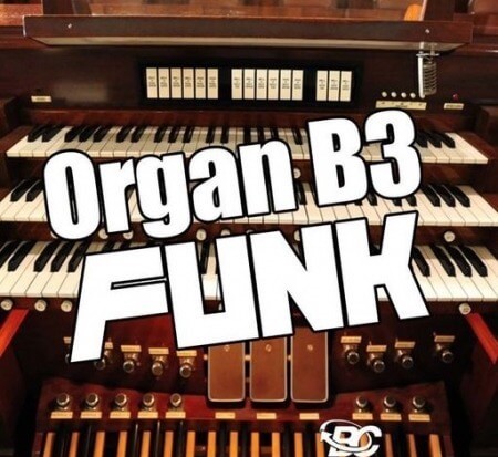 Big Citi Loops Organ B3 Funk WAV